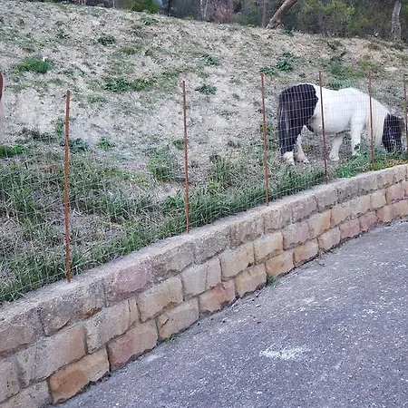 - Da Pietro - Bed & Breakfast