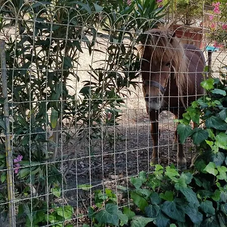 Frühstückspension - Da Pietro -