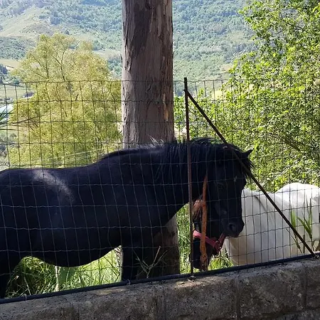 Frühstückspension - Da Pietro -