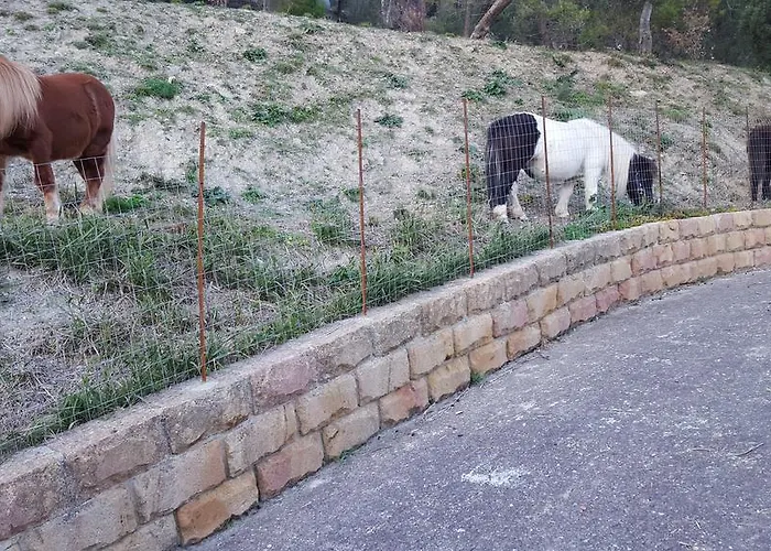 - Da Pietro - 住宿加早餐酒店