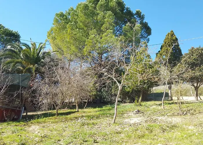 - Da Pietro - 住宿加早餐酒店 3*