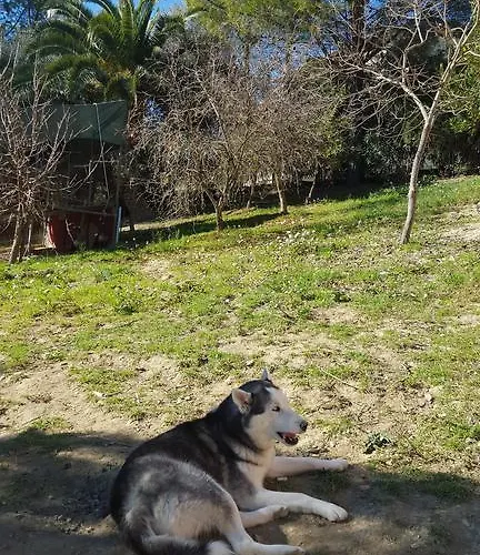 - Da Pietro - 恩纳