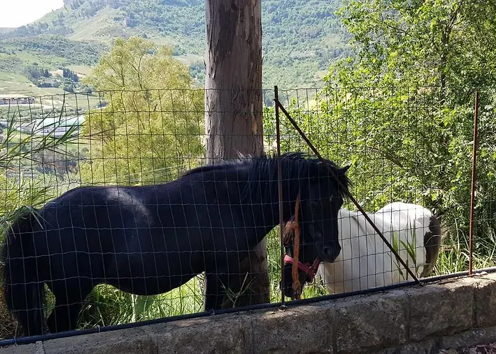 住宿加早餐酒店 - Da Pietro -