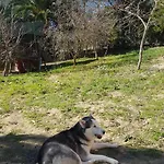 - Da Pietro - Enna