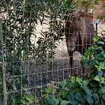 Couette-café - Da Pietro -